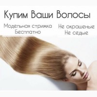 Продати волосся дорого у Дніпрі Купую волосся від 35 Професійна онлайн-консультація